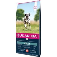 EUKANUBA Trockenfutter Hund Large Breed Adult, mit Lachs & Gerste 12 kg