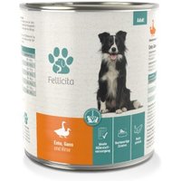 Fellicita Ente, Gans & Hirse 6x 800g