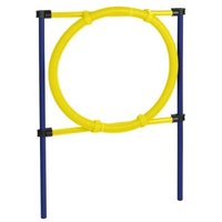 AniOne Agility Hürde