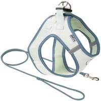 AniOne Pepe&Kitty Welpenset grün & blau XXS