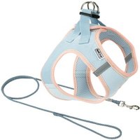 AniOne Pepe&Kitty Welpenset blau XXS