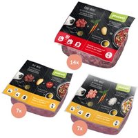 ProCani Menü Paket Rind und Geflügel 28x500 g