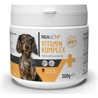 REAVET Vitamin Komplex 300g