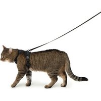 LucyBalu EXPLORER Katzengeschirr schwarz M