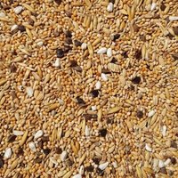 Supravit Agaporniden & Neophemafutter 5 kg