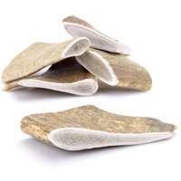 Larsson Geweih Schäufle L ca. 120-180g