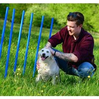 PfotenWunder® 10x Slalomstangen, Profi-Agility-Slalom-Set groß Sport, für kleine & große Hunde-Training Parcour Zubehör