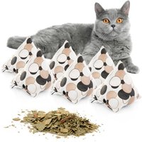 Canadian Cat Company Catnipspielzeug 6x Schmusepyramide Kreise