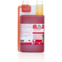 Fortan vita-Keimöl BARF Zusatz 1 l