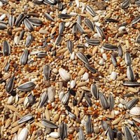 Supravit Großsittichfutter - Körnermischung für Großsittiche 5 kg