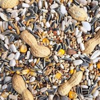 Supravit Papageienfutter für Papageien Aller Arten 5 kg