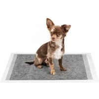 Lionto Hygieneunterlage mit Kohlefaser für Hunde 6-lagig 100 S