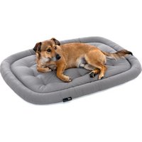 Doctor Bark Pointer Hundekissen hellgrau M