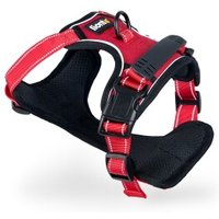 Lionto Hundegeschirr rot L