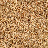 Supravit Wellensittichfutter Zuchtmischung 5 kg