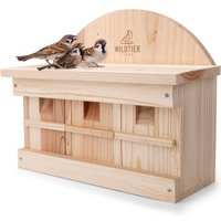 wildtier liebe Spatzen Nistkasten