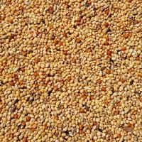 Supravit Exotenfutter - hochwertiges Mischfutter für exotische Finken 2,5 kg