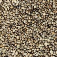 Supravit Hanf Wildvogelfutter 5 kg