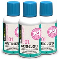 FAVLY Petfood GASTRO Liquid 3x30 g