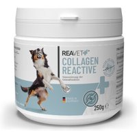 REAVET Collagen Reactive 250g