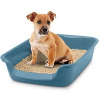 Savic Schalentoilette Junior Toilet blaustein