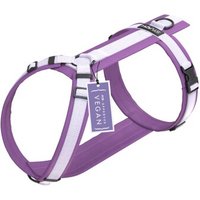 STUCH Geschirr Hund gepolstert lila M