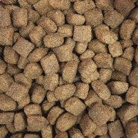 Supravit Hundefutter trocken getreidefrei schmackhaftes Trockenfutter Hund mit Lamm & Reis I Trockenfutter für Hunde mit hochwertigen Proteinen & gesunden Kohlenhydraten I gut verträglich 4 kg