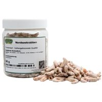 Masterfeed Trockenbarf Nordseekrabben 1 kg