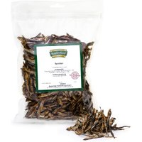 Masterfeed Kleine Sprotten 5 kg