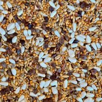 Supravit Großsittiche Spezial - Alleinfutter für Ziervögel & Papageien ohne Sonnenblumenkerne 2,5 kg