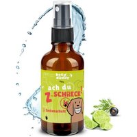 BeG Buddy Zeckenmittel Hund, Zeckenschutz Katzen, Zecke Hund, Zeckenabwehr auf pflanzlicher Basis 100ml
