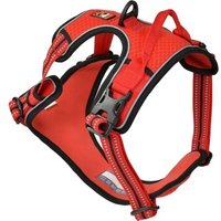 Dogs Creek Geschirr Pathfinder rot M