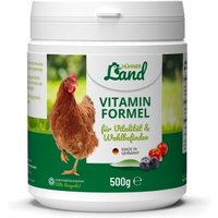 HÜHNER Land Vitamin Formel 500g