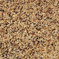 Supravit Kanarienfutter ohne Rübsen 2,5 kg