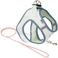 AniOne Pepe&Kitty Welpenset grün & apricot XXS