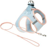 AniOne Pepe&Kitty Welpenset blau & apricot XXS