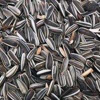 Supravit Sonnenblumenkerne - energiereiches Streufutter für das ganze Jahr 2,5 kg