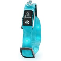 Petsation leuchtendes Katzenhalsband S blau