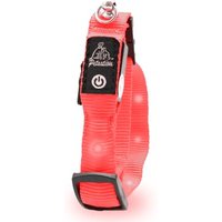 Petsation leuchtendes Katzenhalsband M-L rot