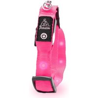 Petsation leuchtendes Katzenhalsband M-L pink