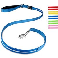 Petsation Hundeleine Leuchtend blau