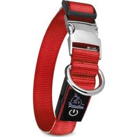 Petsation Leuchthalsband Hundehalsband rot S