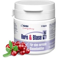 GIGI VET Harn & Blase 14x20 g