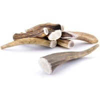 Larsson Geweih M ca. 80-120g