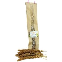 Getzoo Rote Kolbenhirse 5Stk