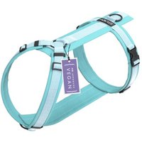 STUCH Geschirr Hund gepolstert türkis XXS