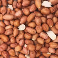 Supravit Erdnüsse rot mit Haut - Top Erdnusskerne Vogelfutter Wildvogelfutter Fettfutter 2,5 kg