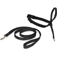 PetSafe Easy Walk Hundekopfhalfter L