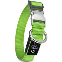 Petsation Leuchthalsband Hundehalsband grün L