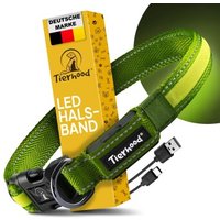 Tierhood Leuchtehalsband LED Halsband grün L